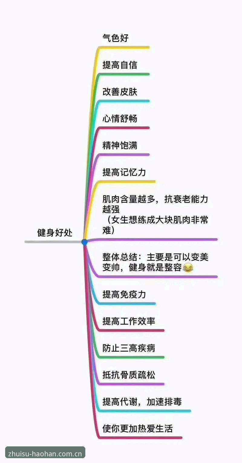 以运动精神重塑热爱格调APP下载 为什么越来越多人选择用运动精神重塑热爱格调?从数据到APP体验的深度解析